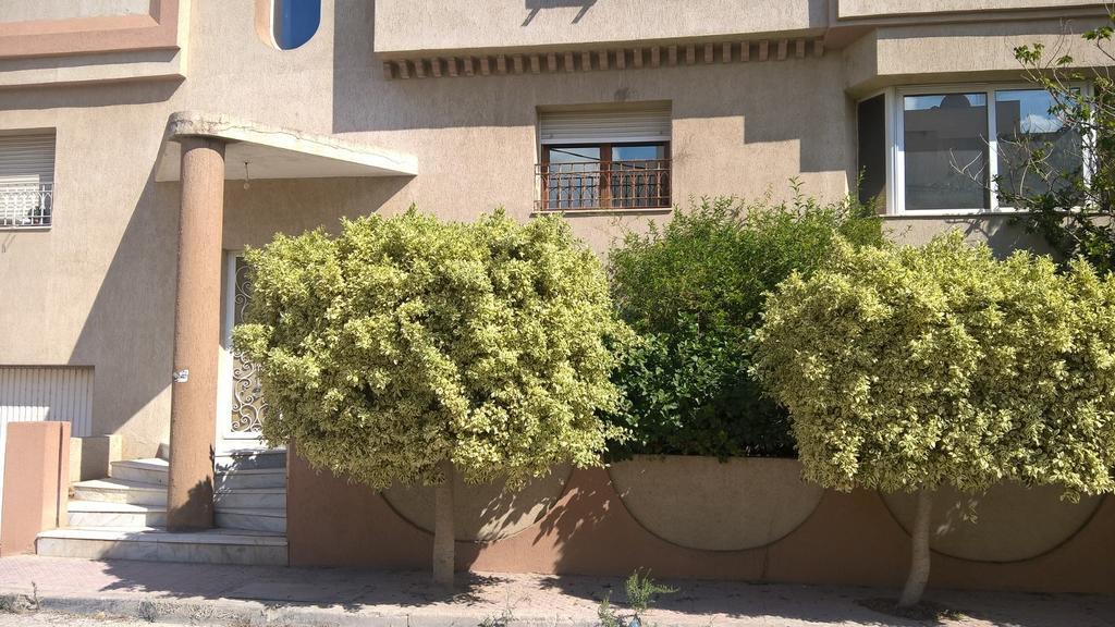 Dar Aloulou Διαμέρισμα Τύνιδα Εξωτερικό φωτογραφία